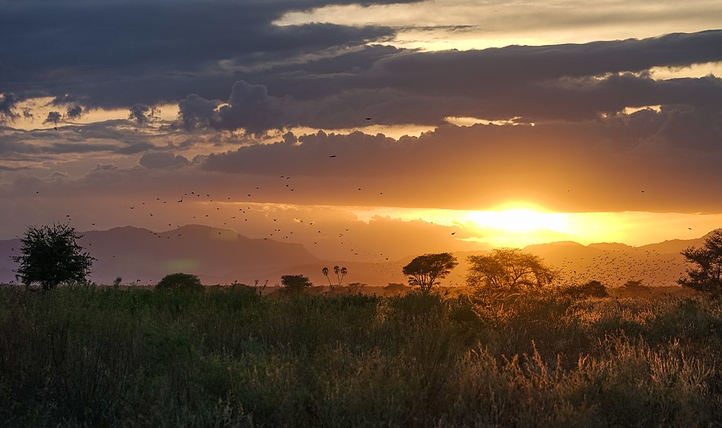 Meru National Park, Kenya