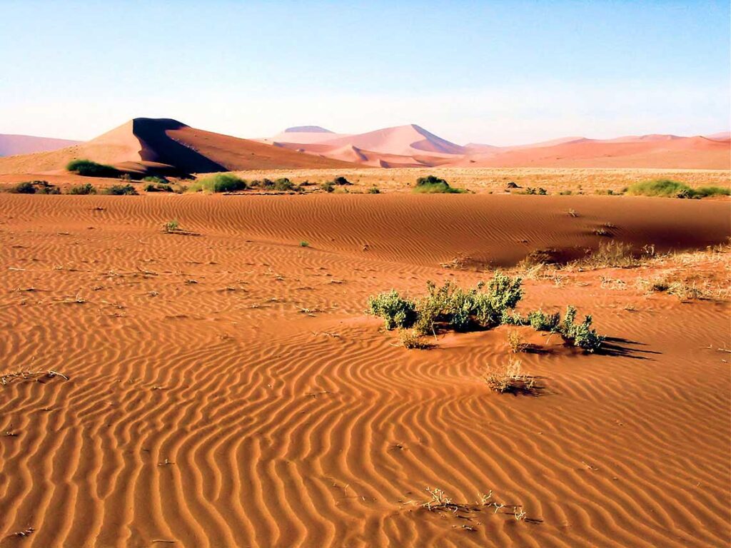 Namib Naukluft park dunes