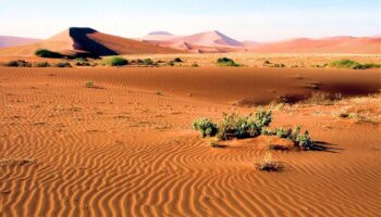 Namib Naukluft park dunes