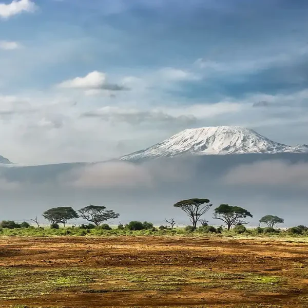 Kilimanjaro from Amboseli