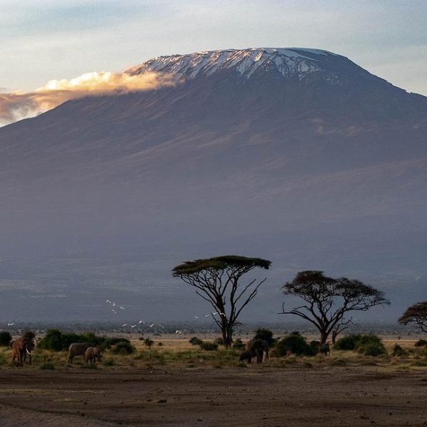 Mount Kilimanjaro