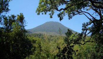 Bwindi impenetrable national park