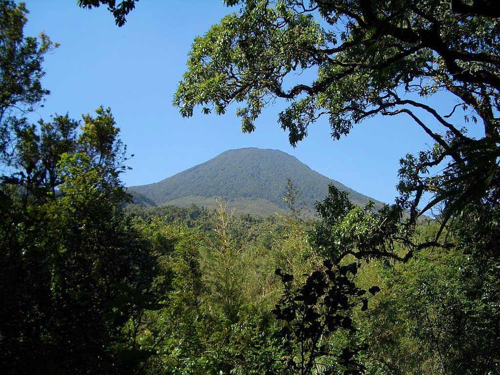 Bwindi impenetrable national park