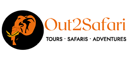Out 2 Safari Logo