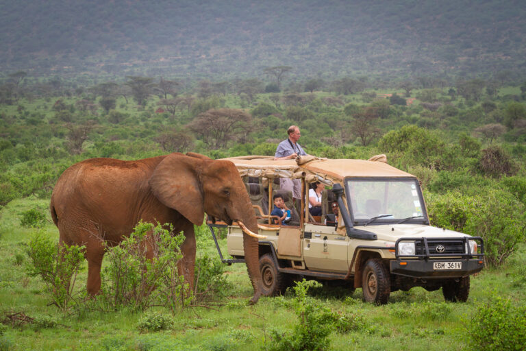 Elephant Bedroom Camp - Samburu